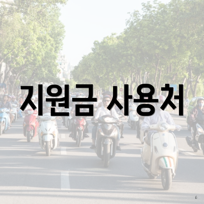 지원금 사용처