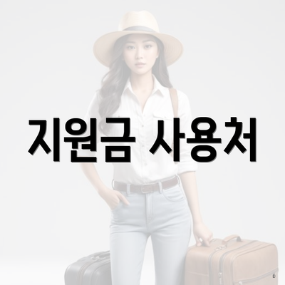 지원금 사용처