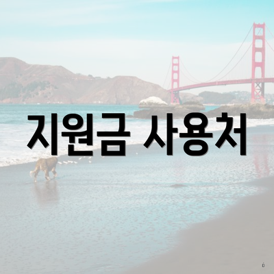 지원금 사용처