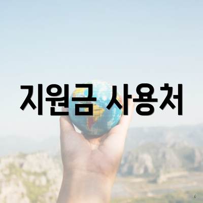 지원금 사용처