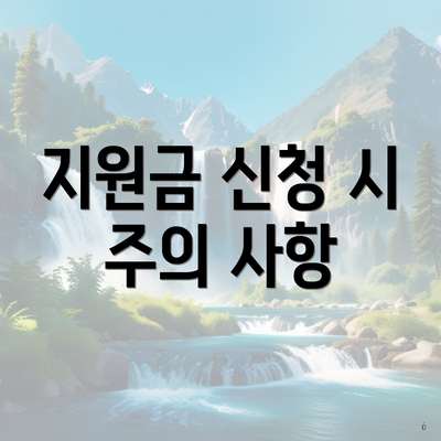 지원금 신청 시 주의 사항