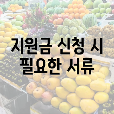 지원금 신청 시 필요한 서류