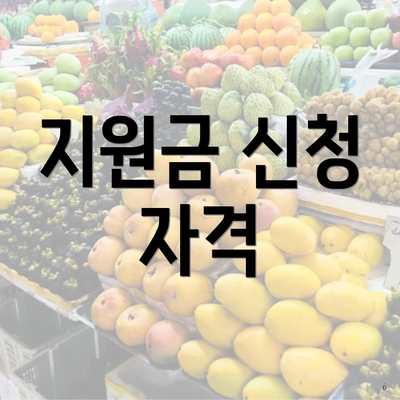 지원금 신청 자격