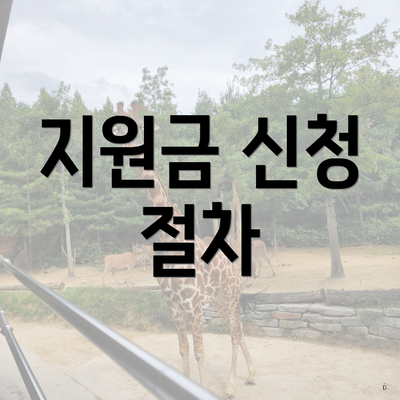 지원금 신청 절차