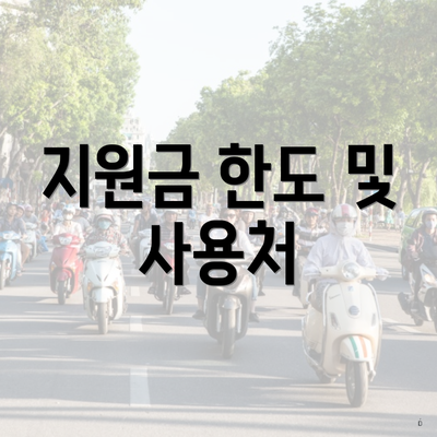 지원금 한도 및 사용처