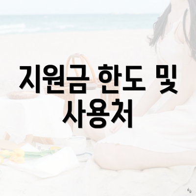 지원금 한도 및 사용처
