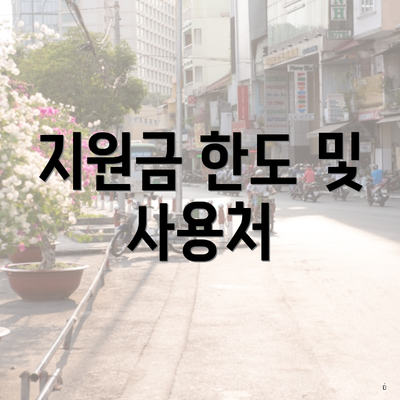 지원금 한도 및 사용처