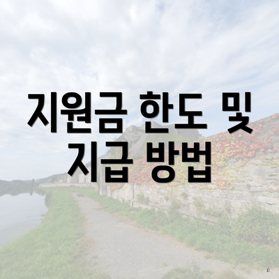 지원금 한도 및 지급 방법