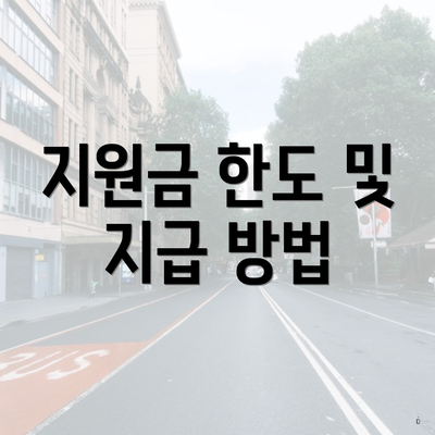 지원금 한도 및 지급 방법