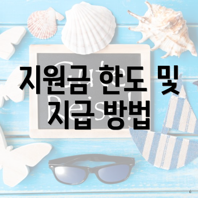 지원금 한도 및 지급 방법