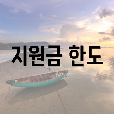 지원금 한도