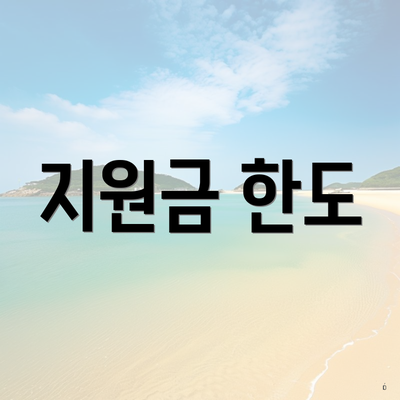 지원금 한도