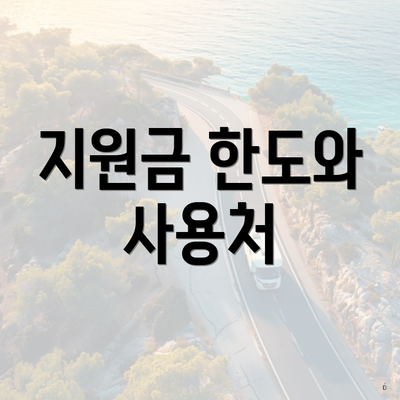 지원금 한도와 사용처