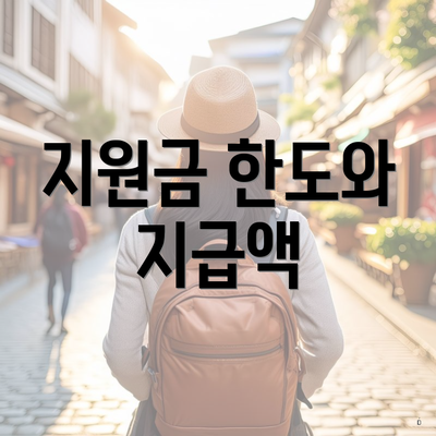 지원금 한도와 지급액