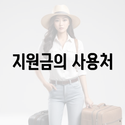 지원금의 사용처