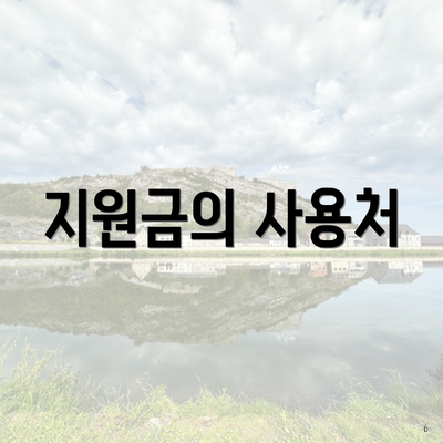 지원금의 사용처
