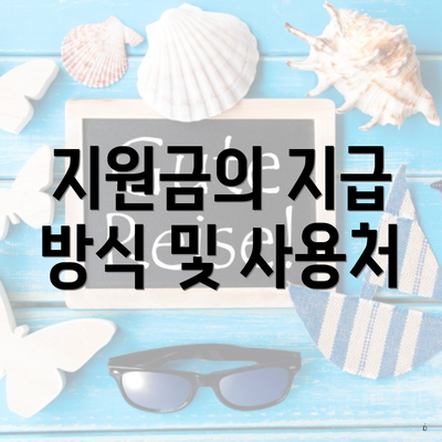 지원금의 지급 방식 및 사용처