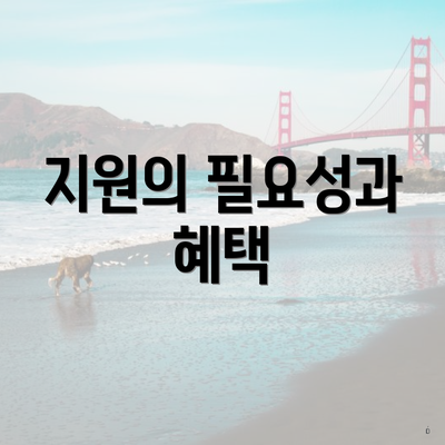 지원의 필요성과 혜택