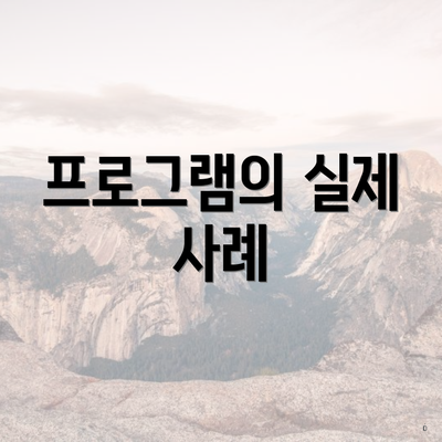 프로그램의 실제 사례