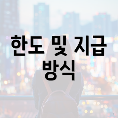 한도 및 지급 방식