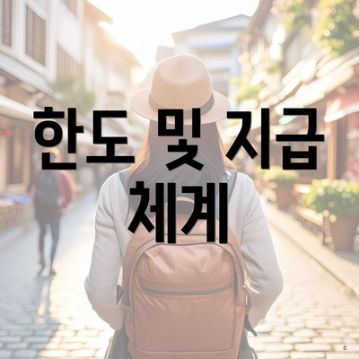 한도 및 지급 체계